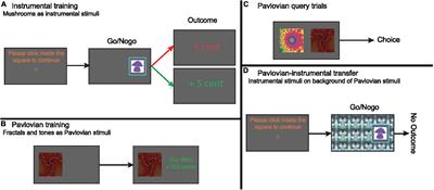 Aversive Pavlovian inhibition in adult attention-deficit/hyperactivity disorder and its restoration by mindfulness-based cognitive therapy